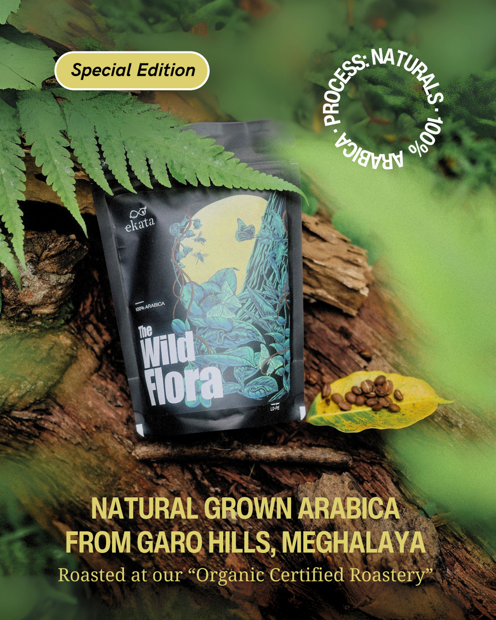 North East Coffee Series Wild Flora